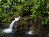 Buy Two Small Waterfalls Flow into Fresh Water Pond in a Rain Forest at AllPosters.com