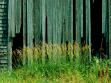 Buy Close View of the Side of a Dilapidated Barn at AllPosters.com