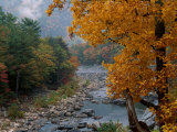 Buy Autumn View at AllPosters.com