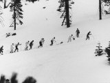 Ski Slope at Squaw Valley During Winter Olympics