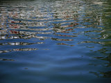 Buy Ripples in Water Break up a Reflection into Hundreds of Pieces at AllPosters.com