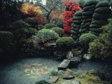 Buy View of a Private Garden in Hagi at AllPosters.com