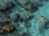 In Shimmering Waters, a Snorkeler Explores Boulder-Strewn Shallows