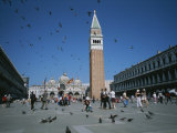 Buy Saint Marks Square and its Famous Pigeons at AllPosters.com