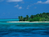 A View of One of the Islands off of the Coast of Belize