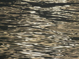 Buy Sunlight Reflects off the Rippling Water at AllPosters.com