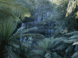 Buy Lush Ferns Frame a Waterfall in the Park at AllPosters.com