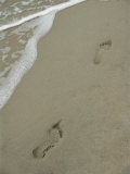 Buy Footprints on the Beach at AllPosters.com