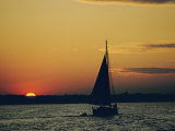 Skipjack Silhouetted at Sunset