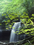Buy A Cascade Falls from a Rock Formation at AllPosters.com