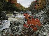 Buy A Creek Rushes Past Autumn-Colored Trees at AllPosters.com