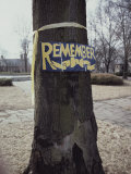 Buy A Symbolic Yellow Ribbon and a Sign Saying Remember on a Tree at AllPosters.com