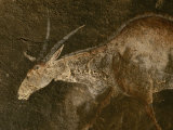 Buy A Close View of an Eland in a San Rock Painting at AllPosters.com