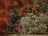 Buy Blazing Autumn Color Surrounds a Barn at AllPosters.com