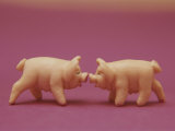 Buy Two Marzipan Pigs, Nose-To-Nose, Will Bring Their Recipient Good Luck at AllPosters.com