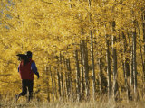 Buy Woman Running in Field by Aspen Trees at AllPosters.com