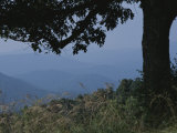 Buy Tree-Framed View Shows How the Blue Ridge Mountains Got Their Name at AllPosters.com