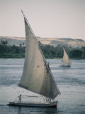 Twin Feluccas Move in Unison on the Nile Near Luxor