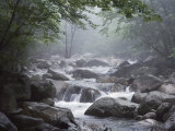 Buy A Stream Courses Through Baxter State Park at AllPosters.com