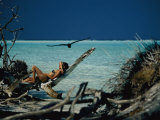 Buy Reclining on Driftwood, a Sunbather Blends in with Her Surroundings at AllPosters.com