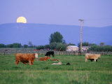 Buy Farm Scene West of Chiloguin, Oregon at AllPosters.com