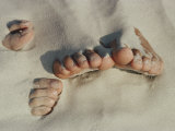 Buy Two Pairs of Feet Push up Through the Sand at AllPosters.com