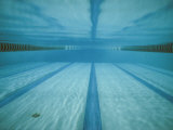 Buy A Below-The-Surface View of a Swimming Pool at AllPosters.com