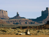 A Mountain Lion Rests in an Arid Landscape
