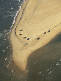 Aerial View of Cars on the Coast of the Outer Banks