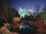 Buy Colored Lights Decorate Bushes on the Mormon Temple Grounds at AllPosters.com