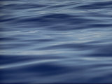 Buy View of Calm Blue Water off the Coast of the Hawaiian Islands at AllPosters.com
