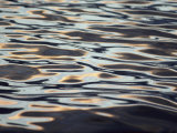 Buy View of the Shiny Surface of Waters off the Coast of Antarctica at AllPosters.com