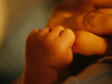 Buy Close View of the Hands of an Infant and Parent at AllPosters.com