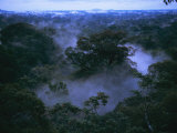 Buy Aerial of Gunung Palung National Park, Borneo, Indonesia at AllPosters.com