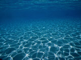 Buy Sunlight Reflects on the Sea Floor Through Crystal Clear Blue Water at AllPosters.com
