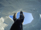 Buy A Man Building an Igloo at AllPosters.com