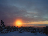 Buy Winter Twilight View, Harz/Hochharz National Park, Germany at AllPosters.com