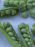 Buy A Close View of Peas in Their Pods at AllPosters.com