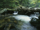 A Babbling Brook in the New Hampshire Woods