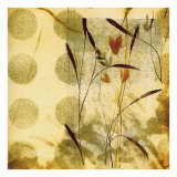 Playful Meadow II