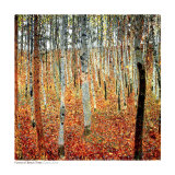 Forest of Beech Trees, c.1903 Art Print