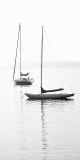 Buy Still Waters II at AllPosters.com