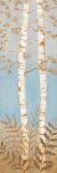 Buy Birch Woods II at AllPosters.com