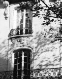 Autumn Shadows I