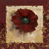 Poppy