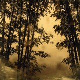 Buy Shadow Play I at AllPosters.com