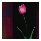Buy Red Tulip II at AllPosters.com