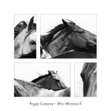 Wild Whispers II