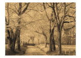 Buy Smokies Road at AllPosters.com