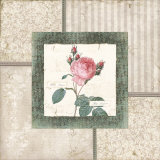 Rosa I